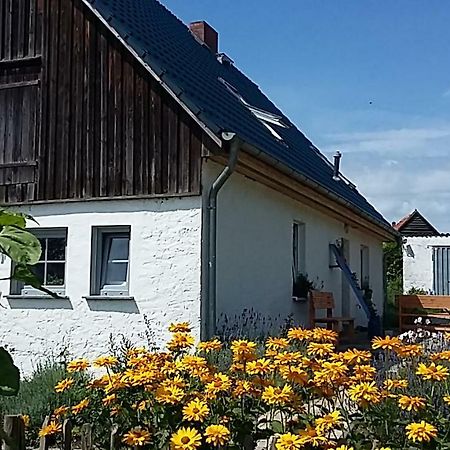 Zum Storchennest Hotel Kemnitz  Kültér fotó