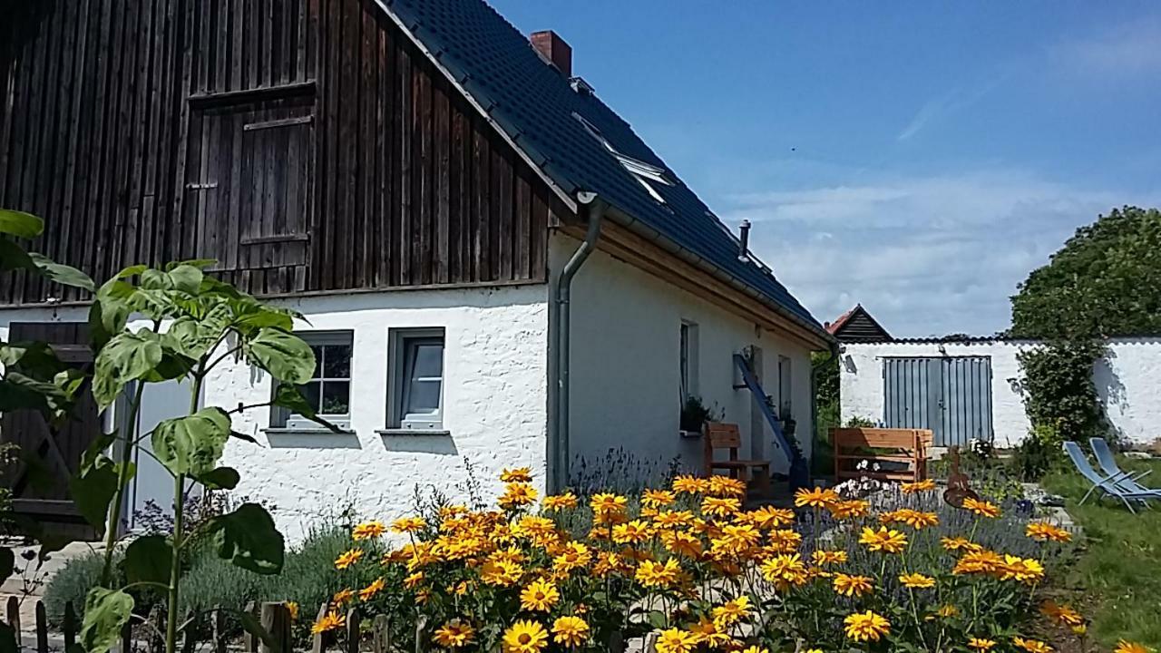 Zum Storchennest Hotel Kemnitz  Kültér fotó